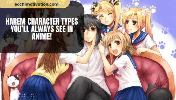 Harem Character Types Youll Always See In Anime