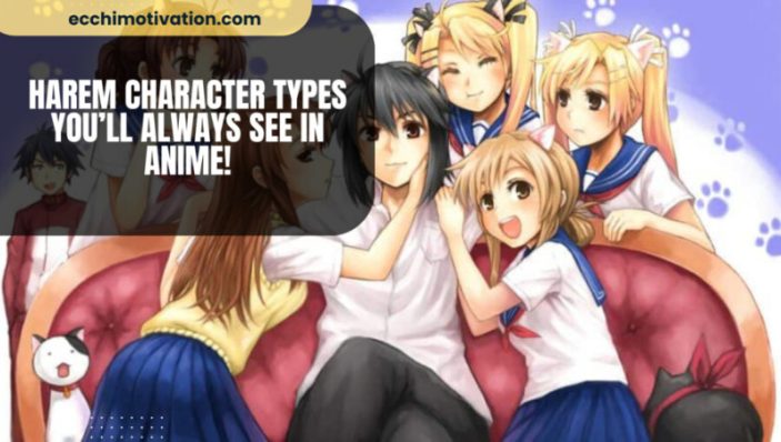 Harem Character Types Youll Always See In Anime