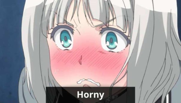 Horny Anime Shows That Will Get You Bonked 2