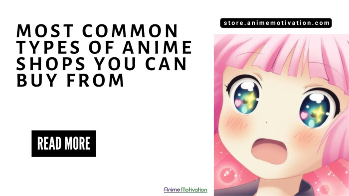 The 7 Most Common Types Of Anime Shops You Can Buy From