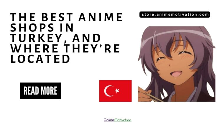 The 7 Best Anime Shops In Turkey, And Where They're Located (Recommended)