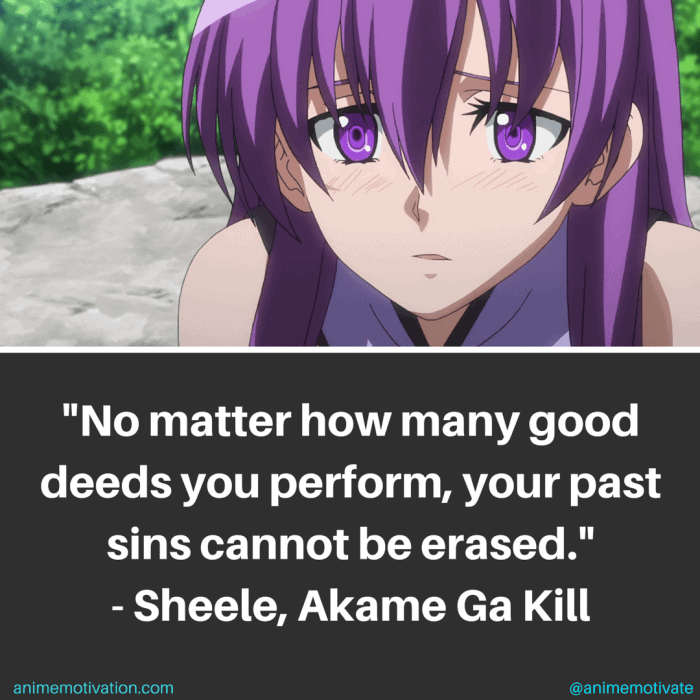 5 Sad But Genuine Sheele Quotes From Akame Ga Kill