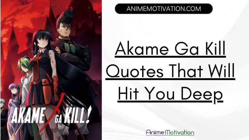 Akame Ga Kill Quotes Post