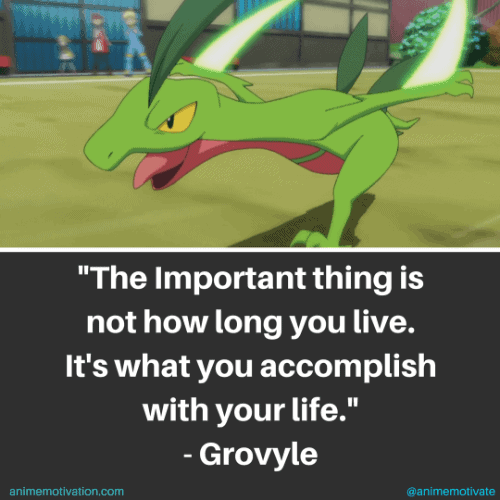 The important thing is not how long you live. It's what you accomplish with your life. - Grovyle