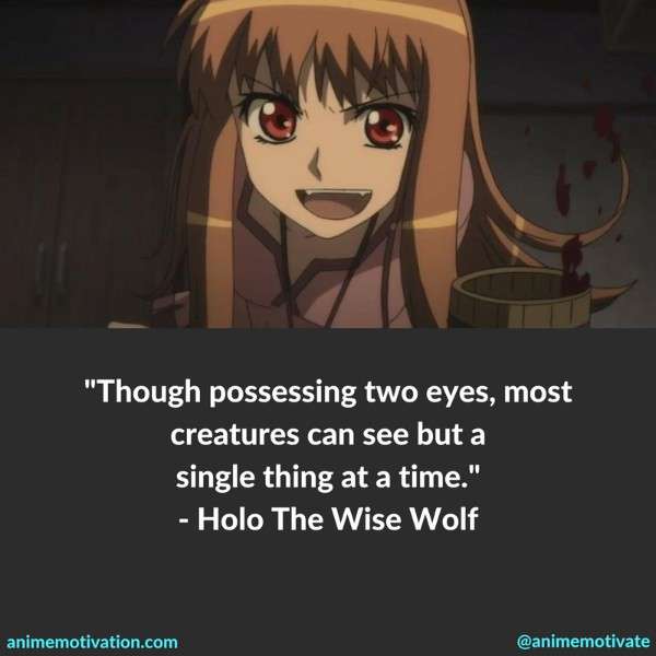 Though possessing two eyes, most creatures can see but a single thing at a time. - Holo The Wise Wolf