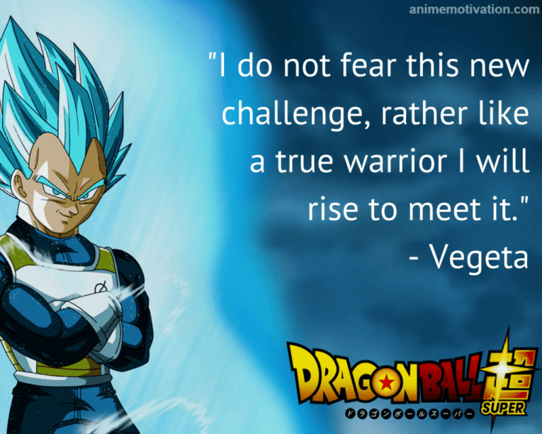 I do not fear this new challenge, rather like a true warrior I will rise to meet it. - Vegeta