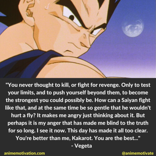 Vegeta Prince Quotes