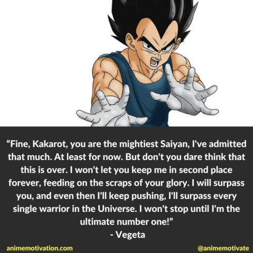 Vegeta Quotes Dbz Anime