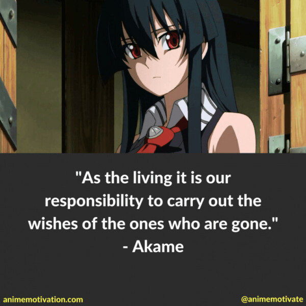 As the living it is our responsibility to carry out the wishes of the ones who are gone. - Akame
