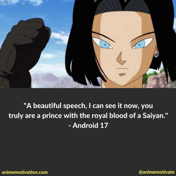 Android 17 quotes 1