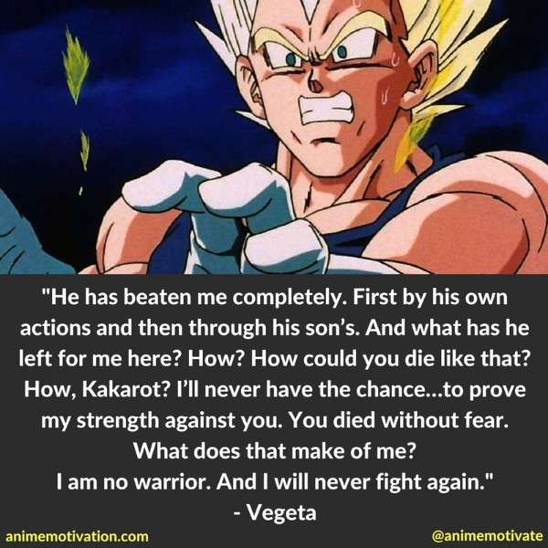 He has beaten me completely. First by his own actions and then through his son’s. And what has he left for me here? How? How could you die like that? How, Kakarot? I’ll never have the chance…to prove my strength against you. You died without fear. What does that make of me? I am no warrior. And I will never fight again.