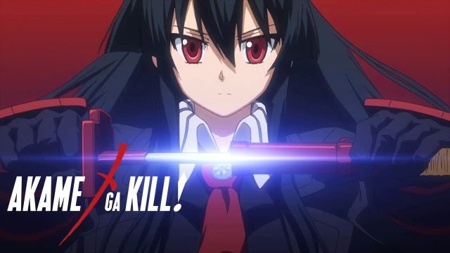 akame from akame ga kill | https://animemotivation.com/mature-anime-series/