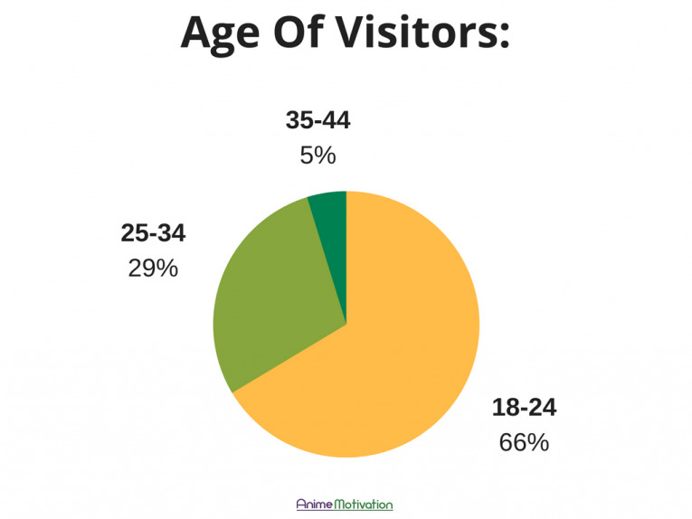Age Of Visitors Pie Chart Anime Motivation Store