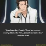 The 29+ Best Sosuke Aizen Quotes Bleach Fans Will Love!