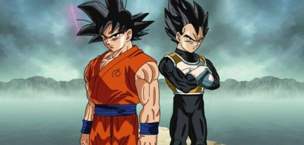 goku and vegeta dragon ball super compressor