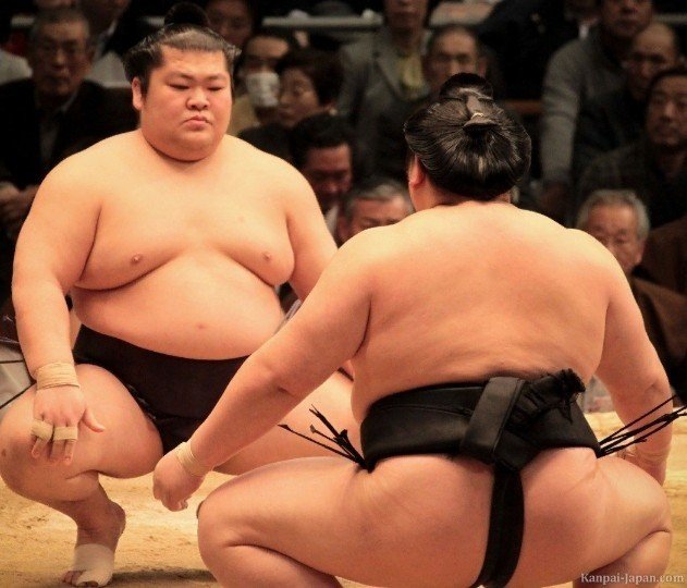 sumo wrestlers japan