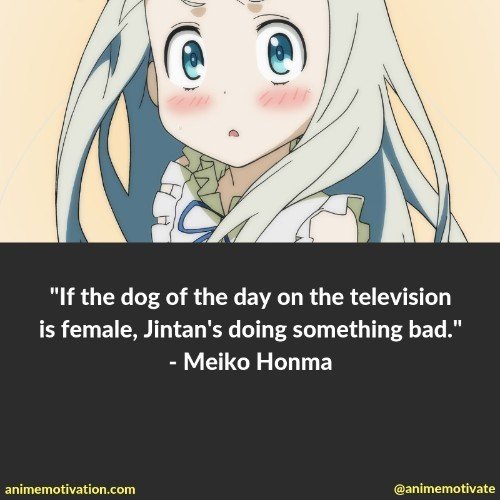 If the dog of the day on the television is female, Jintan's doing something bad. - Meiko Honma