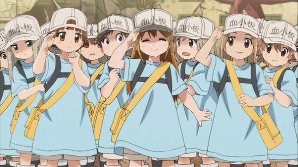cells at work anime characters cute