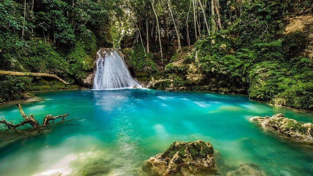 jamaica waterfall 1