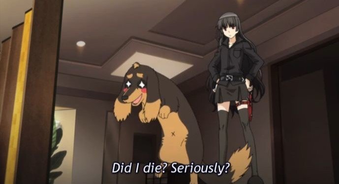 dog and scissors anime episode 1 e1557152415181