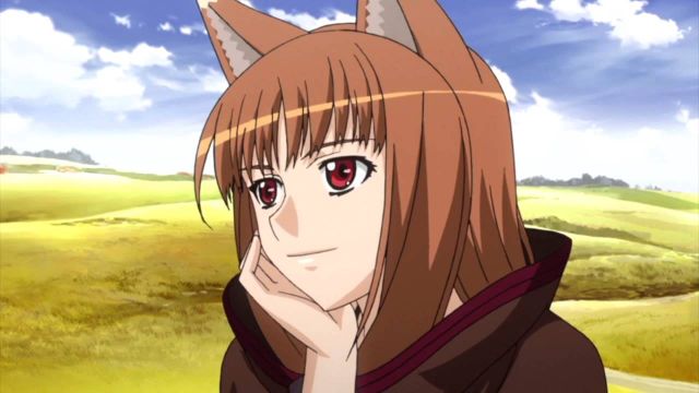 holo the wise wolf thinking