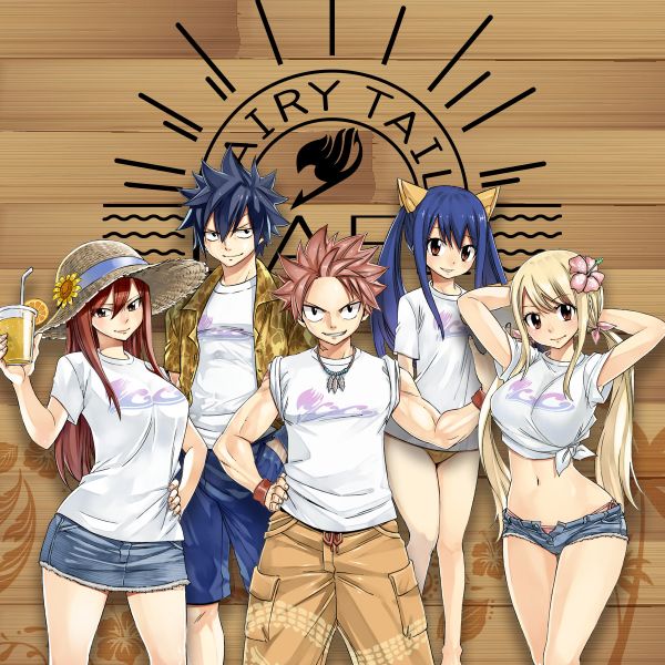 fairy tail characters gray lucy natsu erza wendy