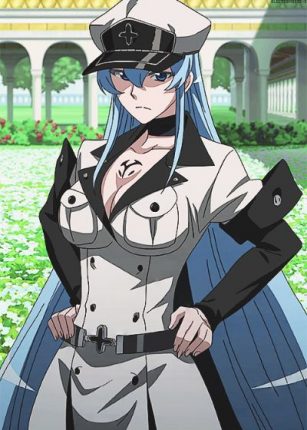 esdeath akame ga kill anime series | https://animemotivation.com/anime-girls-with-long-hair/