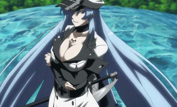 esdeath long blue hair | https://animemotivation.com/anime-girls-with-long-hair/