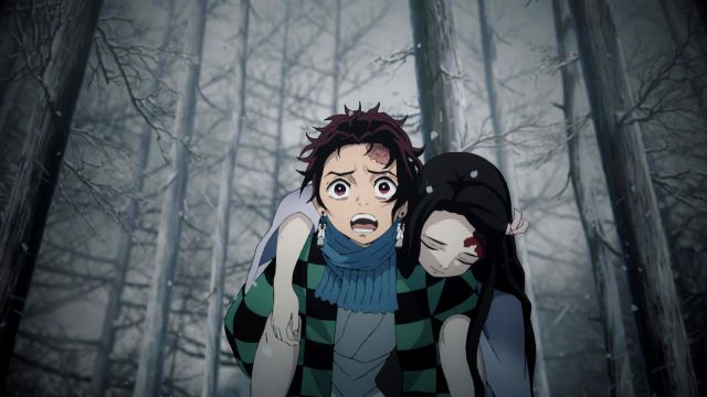 Tanjiro Kamado  Personagens de anime, Histórias fofas, Cabelo de anime