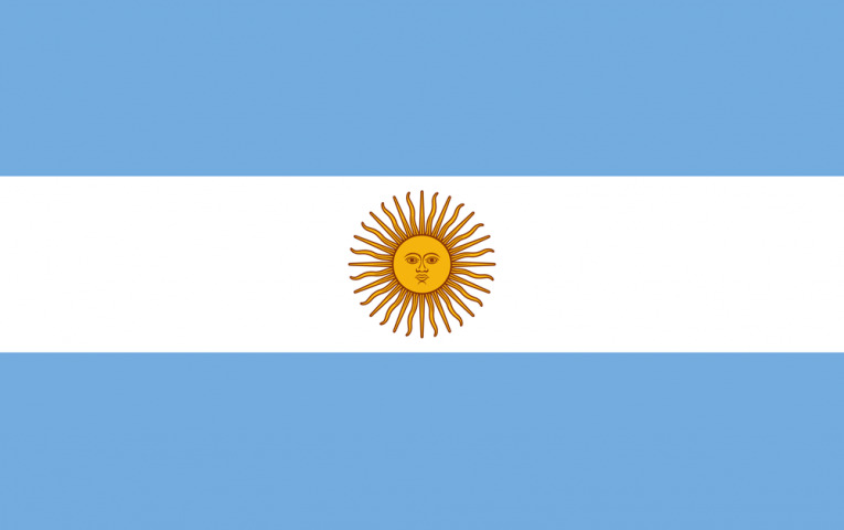 argentina flag medium