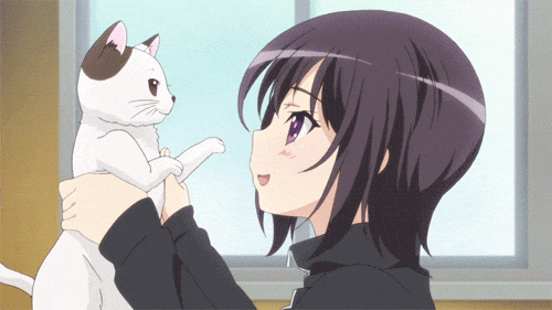 haganai anime gif cat
