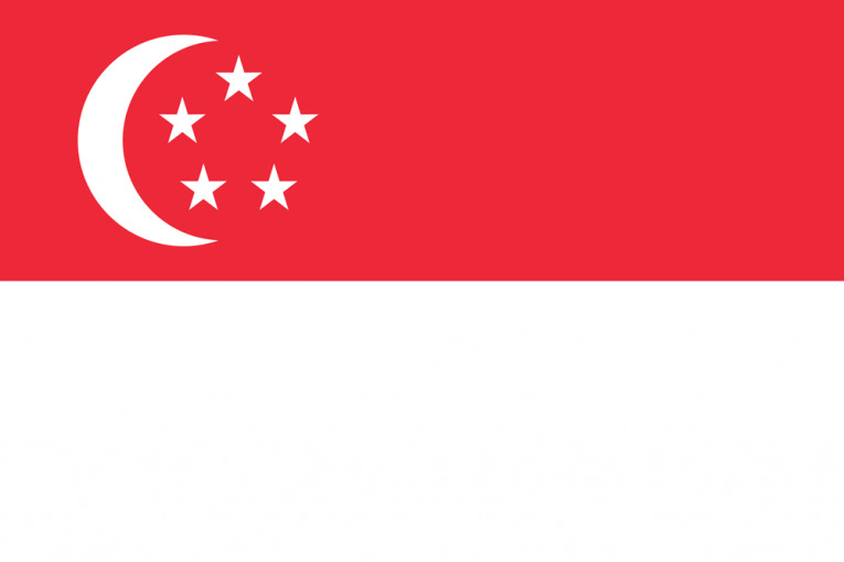 singapore flag medium