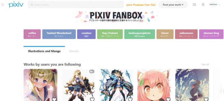 pixiv anime art website