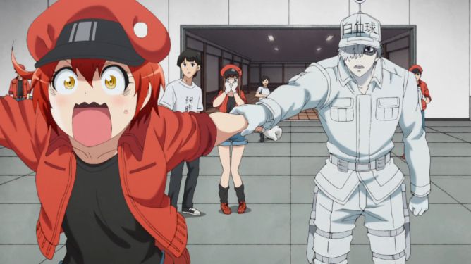 Cells At Work funny moments red blood cell and white blood cell