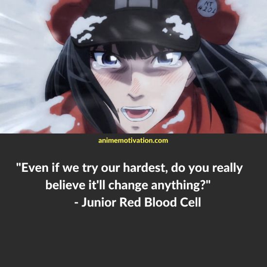 Junior Red Blood Cell Quotes Cells At Work
