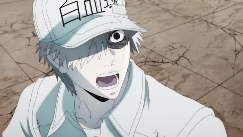cells at work white blood cell facial