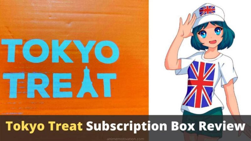 Tokyo Treat Subscription Box Review Unboxing