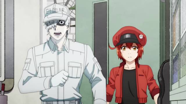 Cells At Work duo
