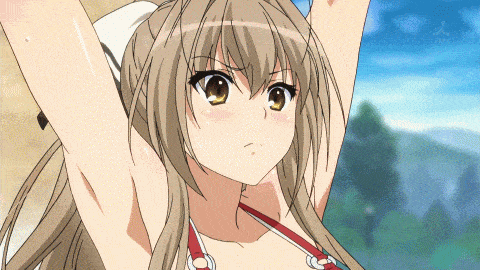 24+ Anime With The BEST Fanservice To Wet Your Appetite