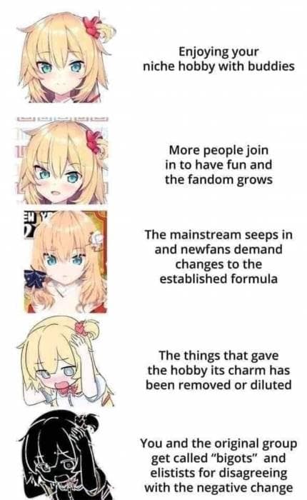 anime gatekeep mainstream sjw meme