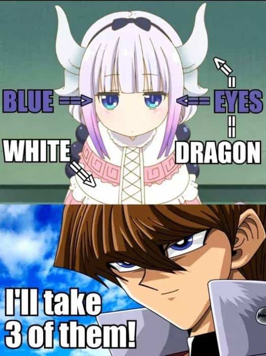 blue eyes white dragon meme kaiba kamui kobayashi