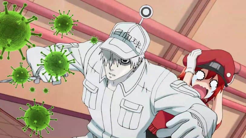 Cells At Work Moments Funny