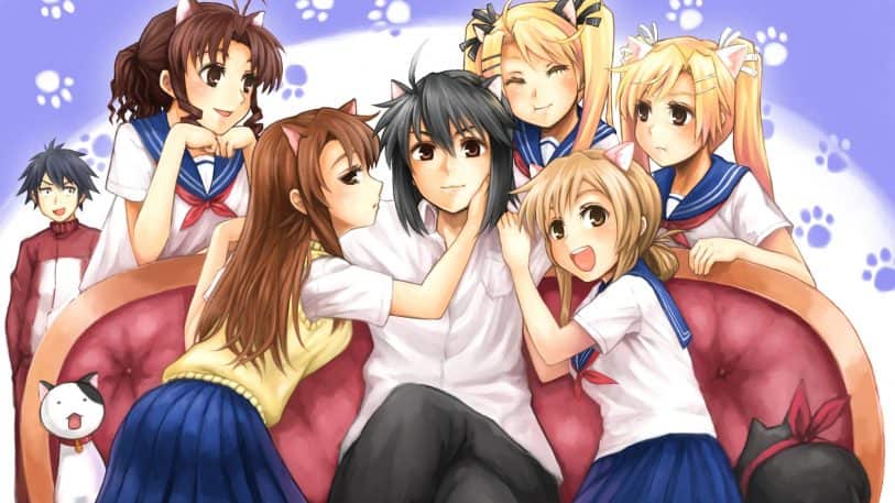 The 14+ Harem Character Types You'll Always See In Anime!