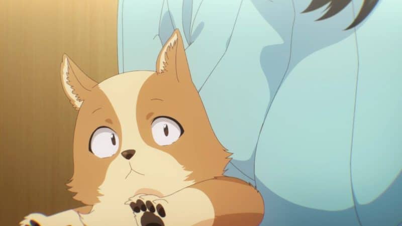 My Life As Inukai San's Dog Anime Ecchi 1