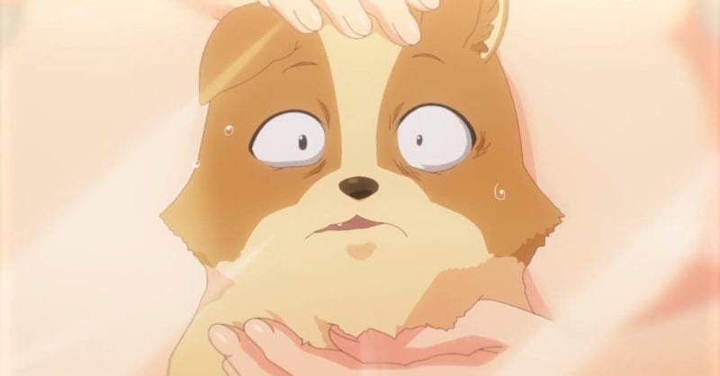 My Life As Inukai San's Dog Anime Moments