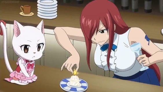 erza scarlet and white cat