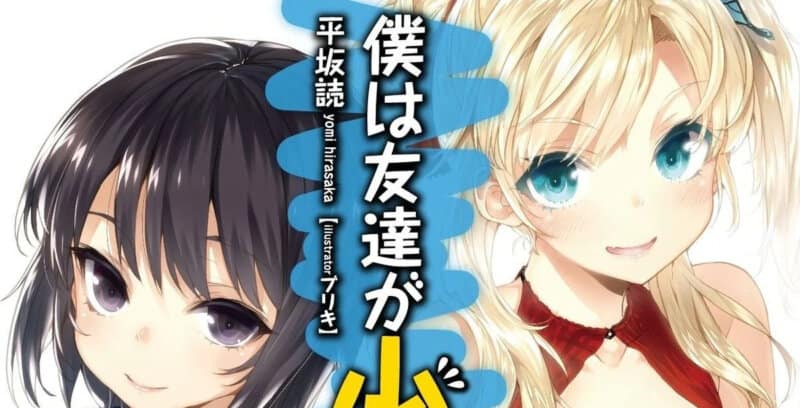Consider These 33+ Anime Light Novels To Start Getting Into
