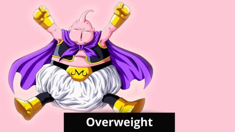 overweight anime characters 2