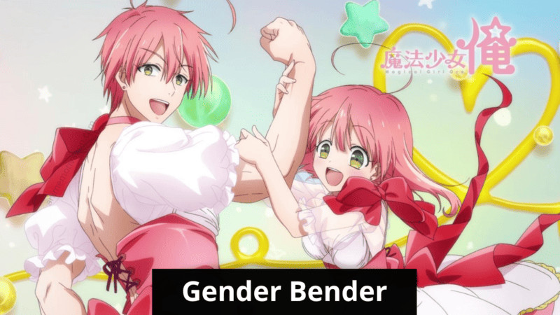 32 dos melhores animes de Gender Bender que você não deve perder!