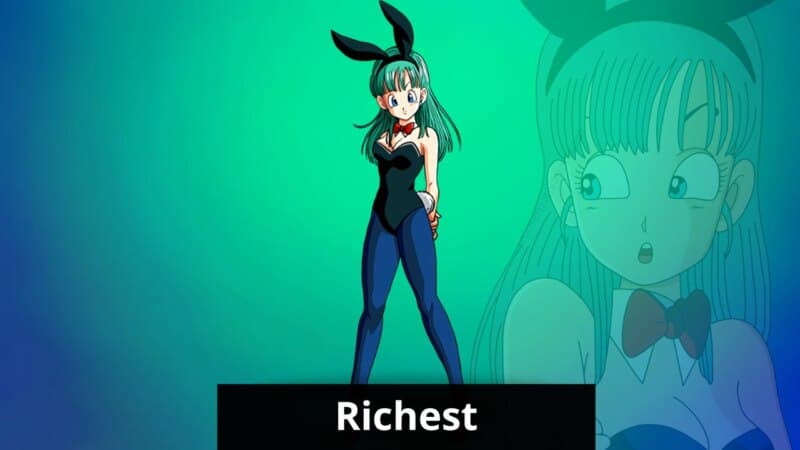 richest anime characters bulma bunny suit
